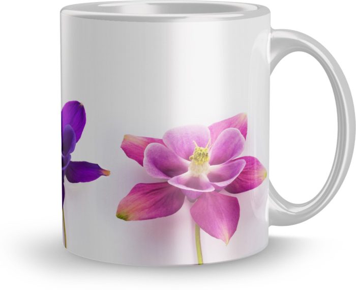 NK Store Flowers Printed Tea And Coffee Mug (320ml) | Save 33% - Rajasthan Living 6