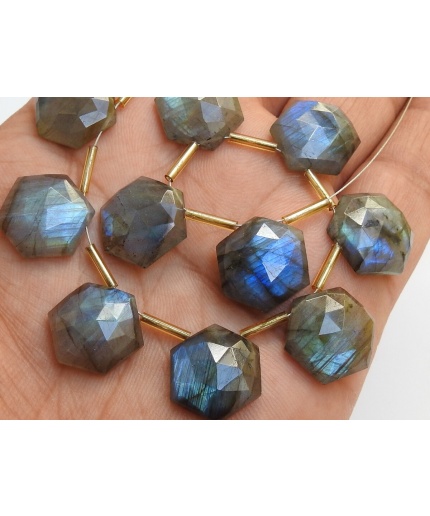 15X15 MM Pair Natural Labradorite Multi Flashy Color Faceted Hexagon Shape Briolette Wholesale Price New Arrival PME-CY3 | Save 33% - Rajasthan Living 5