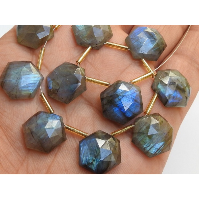 15X15 MM Pair Natural Labradorite Multi Flashy Color Faceted Hexagon Shape Briolette Wholesale Price New Arrival PME-CY3 | Save 33% - Rajasthan Living 5