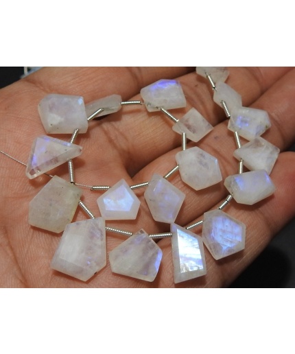 White Rainbow Moonstone Briolette,Faceted,Fancy Cut,Slice,Slab,Multi Fire,Hut,Pentagon,Trapezoid,Marquise,14Piece 12X8To10X8MM PME-BR2 | Save 33% - Rajasthan Living