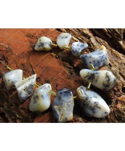 Dendritic Opal Rough Bead,Briolettes,Loose Raw Stone,10Piece Strand 26X17To13X10MM Approx,100%Natural,Wholesale Price,New Arrival R5 | Save 33% - Rajasthan Living