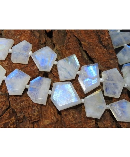 White Rainbow Moonstone Faceted Fancy Briolette,Hut,Pantagon,Trapezoid,Marquise,Crown Cut,14Piece 15X9To8X5MM Approx PME(BR2) | Save 33% - Rajasthan Living