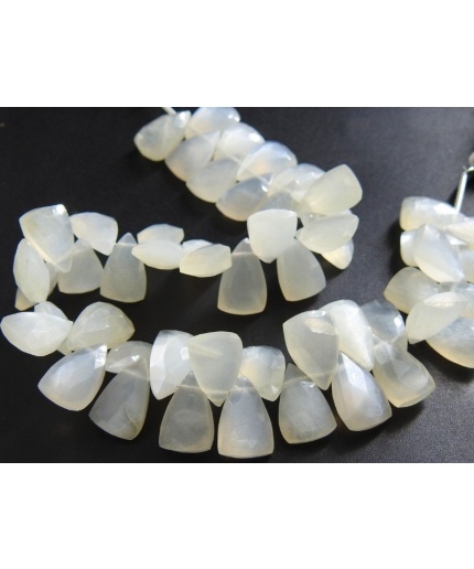 White Moonstone Faceted Trillions,Triangle,Briolette,Teardrop,Pyramid,Drop,Loose Bead 100%Natural 8Inch 12X8To11X9MM Approx PME-BR2 | Save 33% - Rajasthan Living