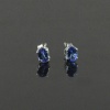 Natural Tenzanite 925 Sterling Silver Stud Earrings | Save 33% - Rajasthan Living 9